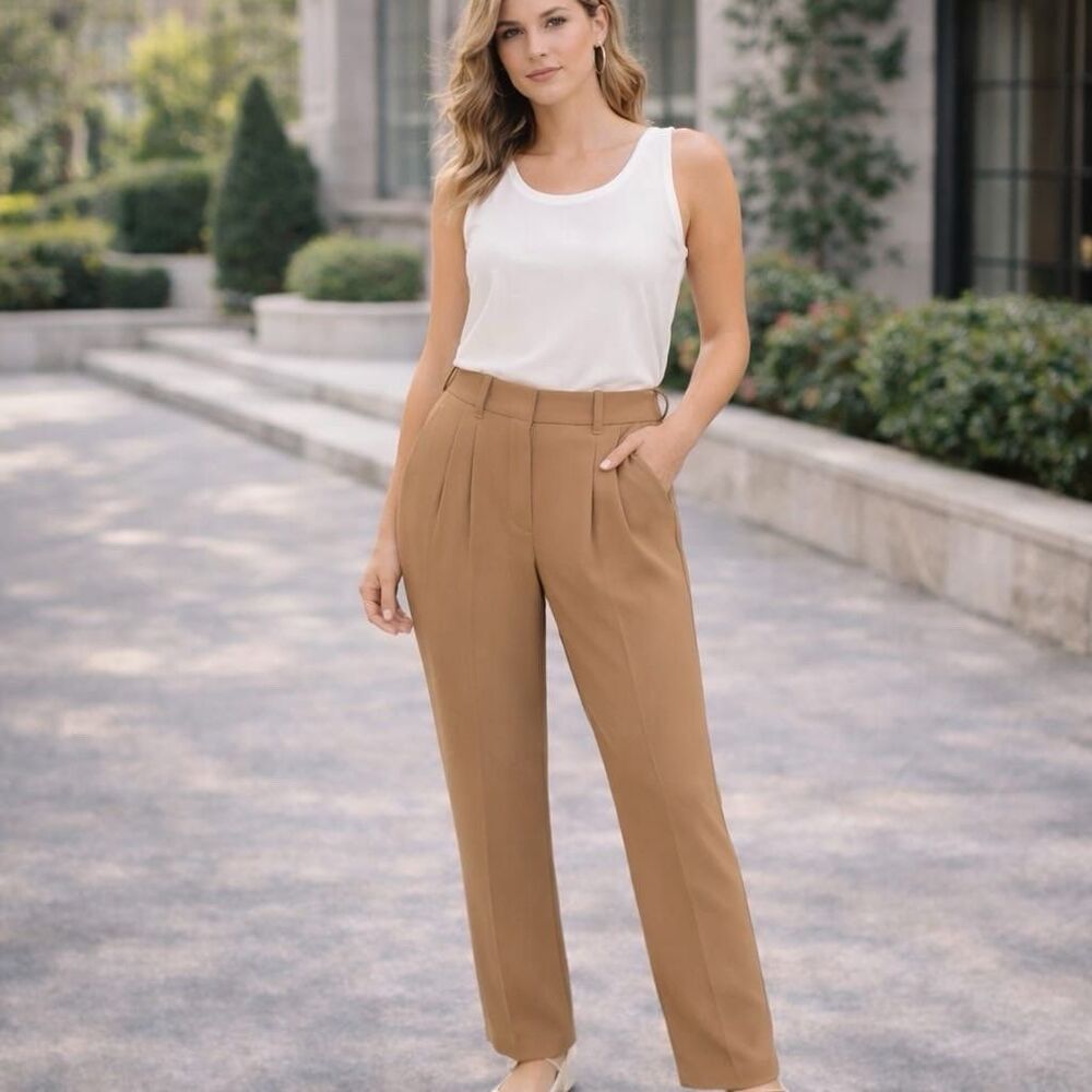 Aritzia Wilfred THE EFFORTLESS PANTS 4 Brown Plated Wide Leg Trousers JAPAN FABR